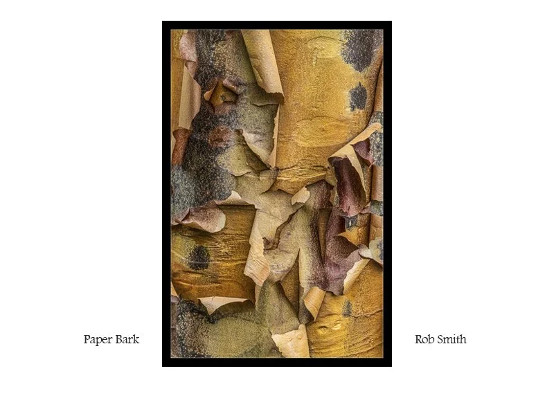 paper.jpg