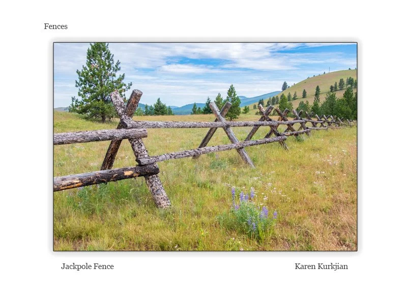 Fences.jpg