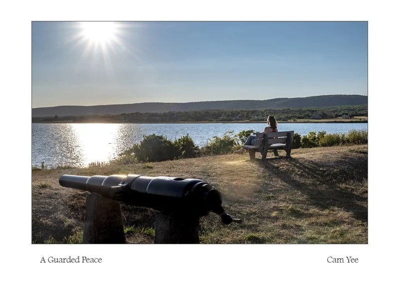 A Guarded Peace.jpg