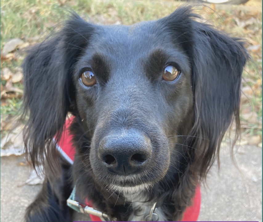 Screenshot 2023-11-25 at 8.57.06 PM.png