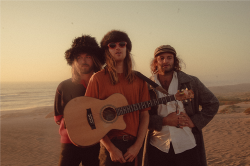 Dive into the eclectic sounds and vibrant performances of Le Shiv, beautifully captured by James Lander, resident photographer at Hoey Moey. Experience the energy and creativity of their shows through captivating photography and visuals.