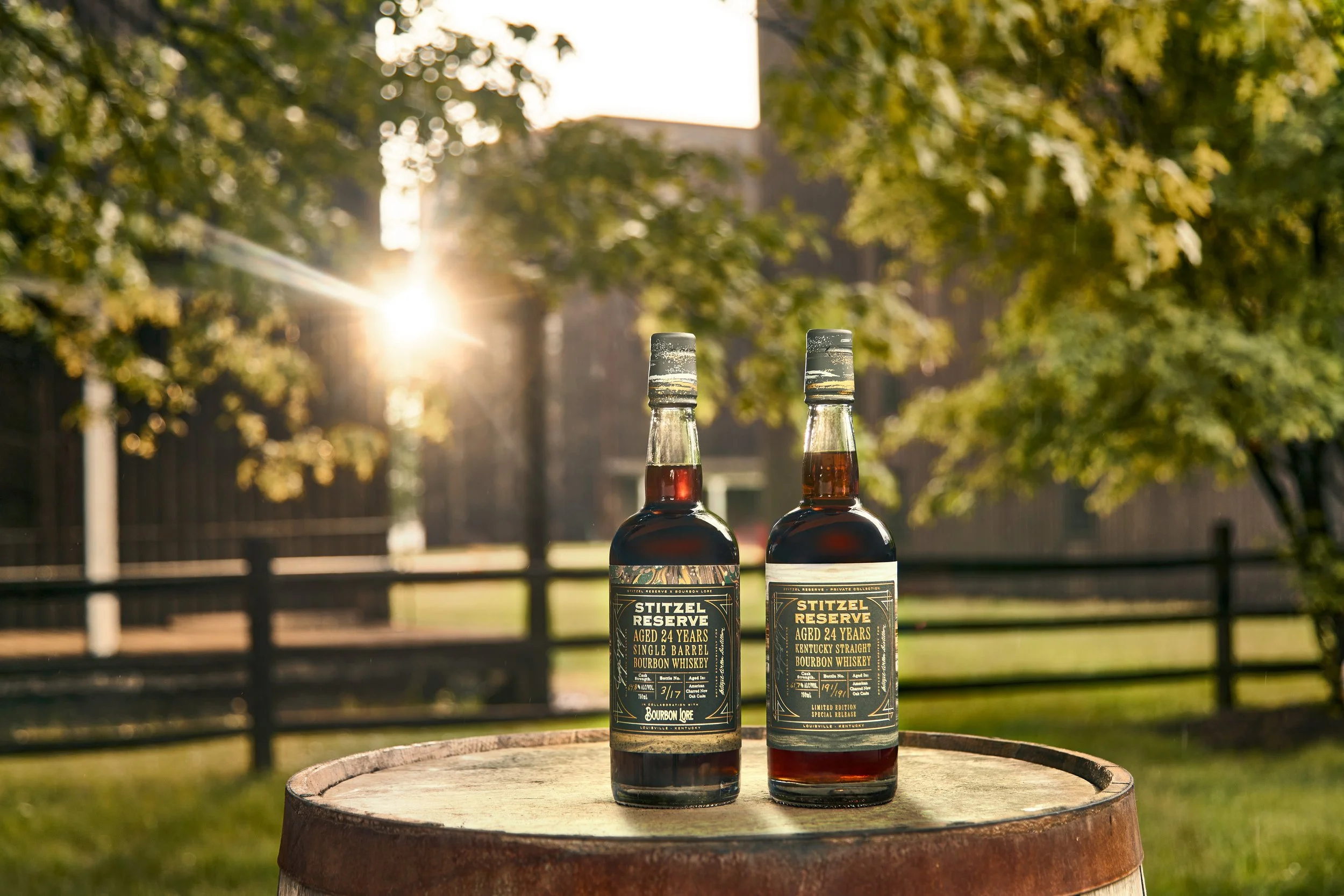Stitzel Reserve0120 revised.jpg