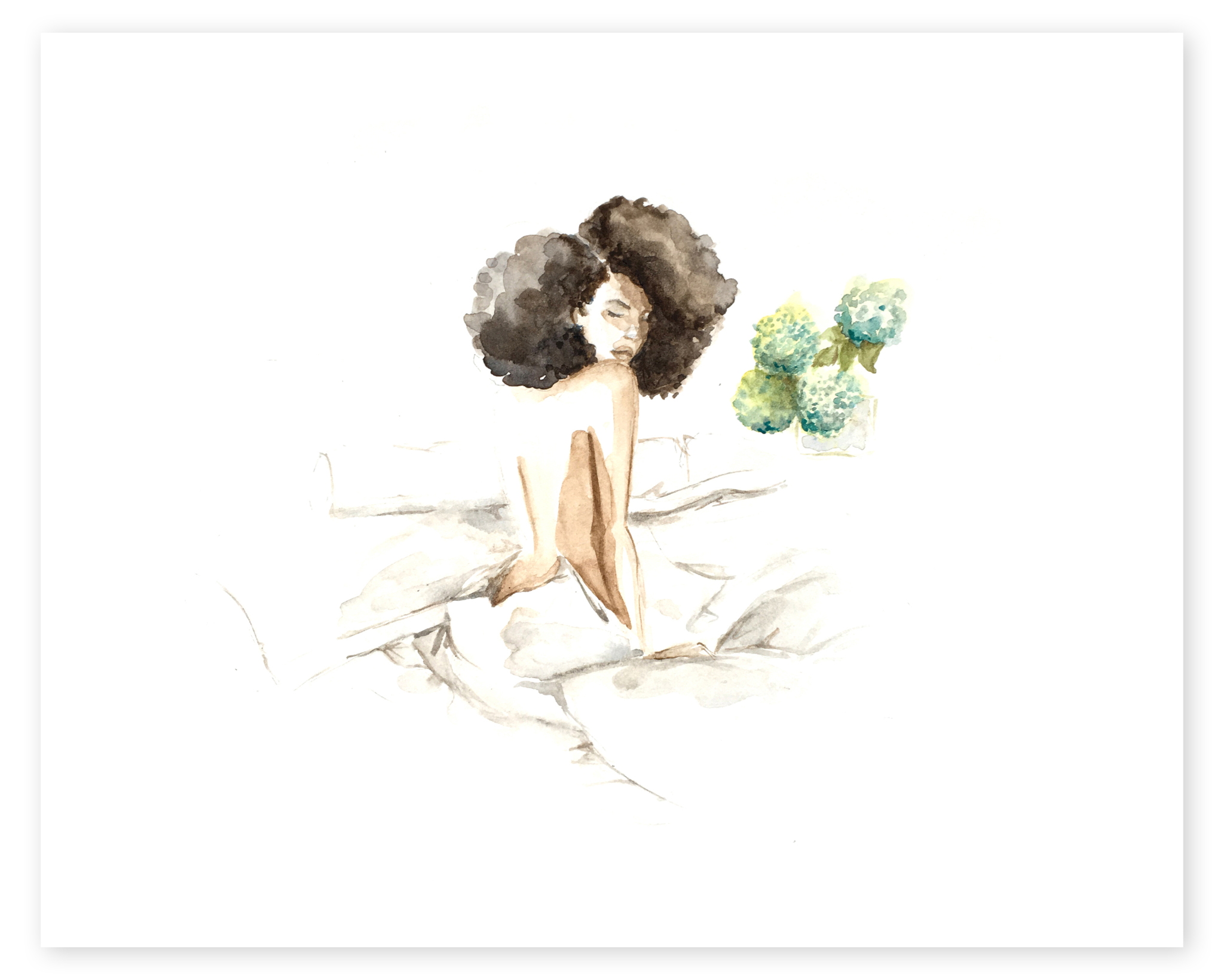 Debra Cartwright - Hydrangeas.