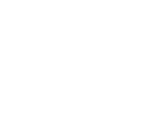 Brighton Photo Biennal .png