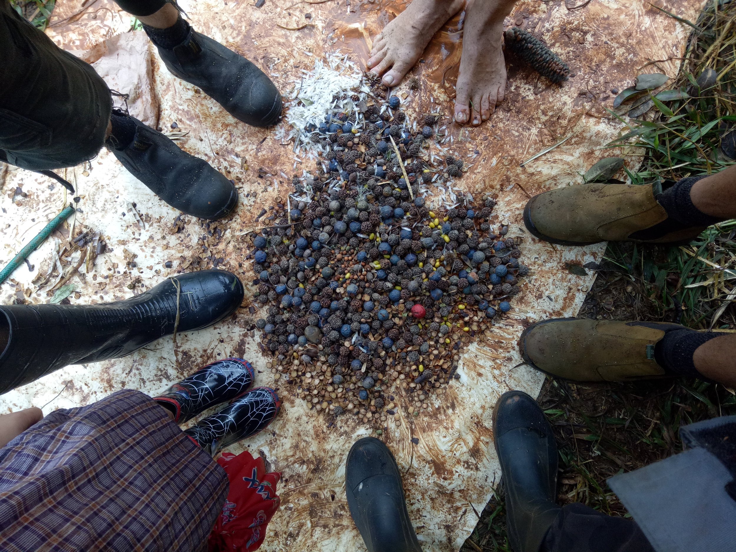 A Definition of Regenerative Agriculture
