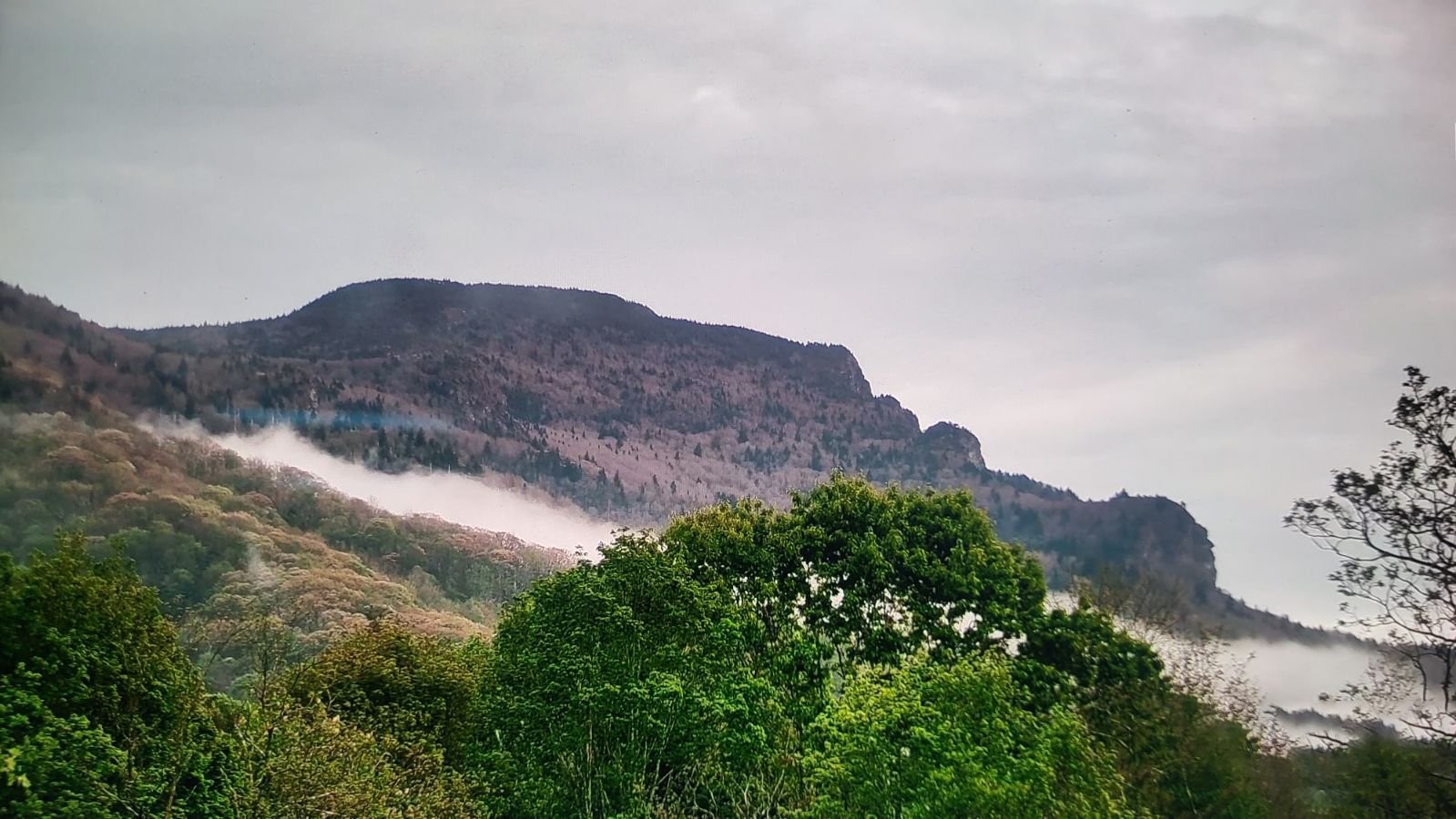 image000000 2 copy.jpg