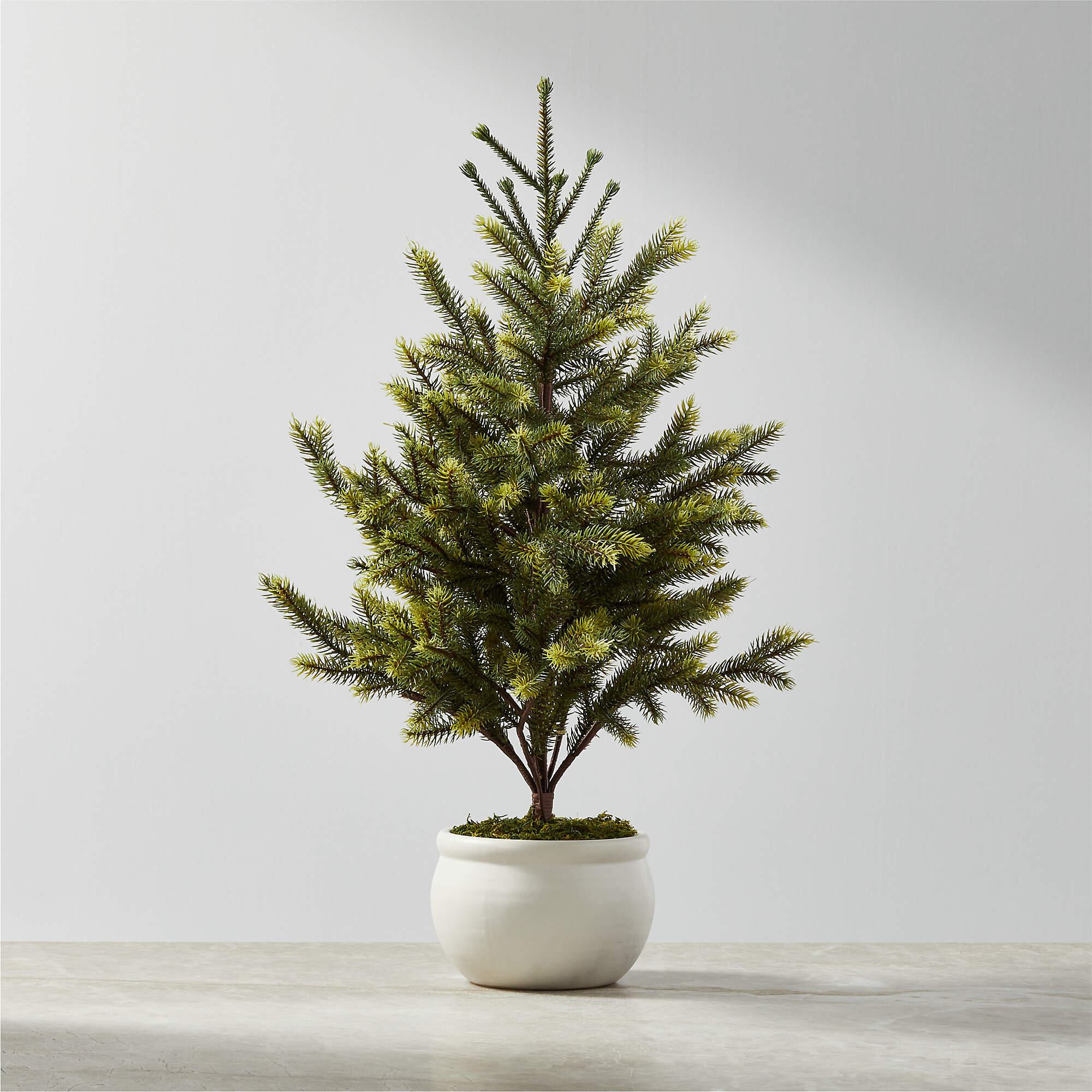 faux-potted-mini-pine-tree-24.jpeg