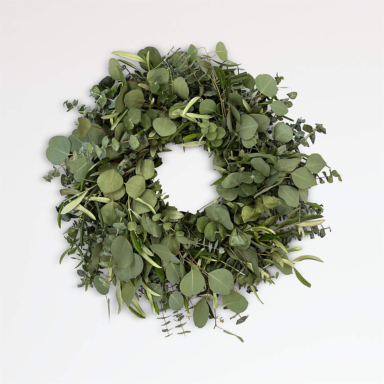 live-eucalyptus-and-olive-wreath.jpeg