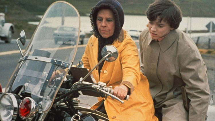 FILM: May 14, Harold and Maude