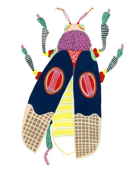 Insect Collage