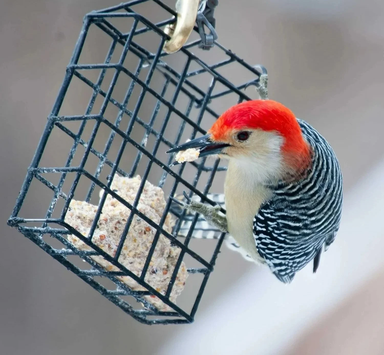 First Sundays: Family Studio Hour 