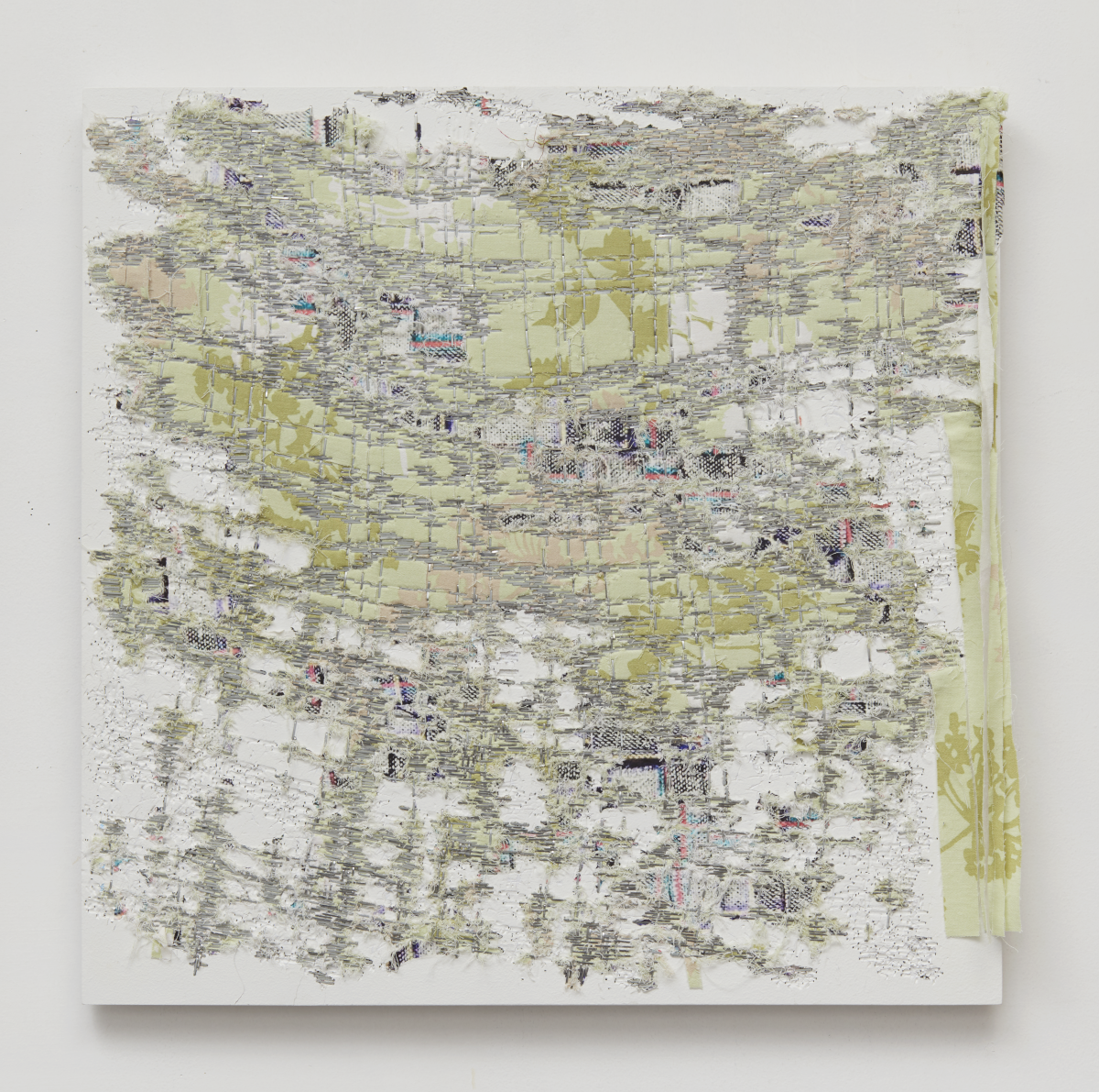 First Friday: Animal Bodies