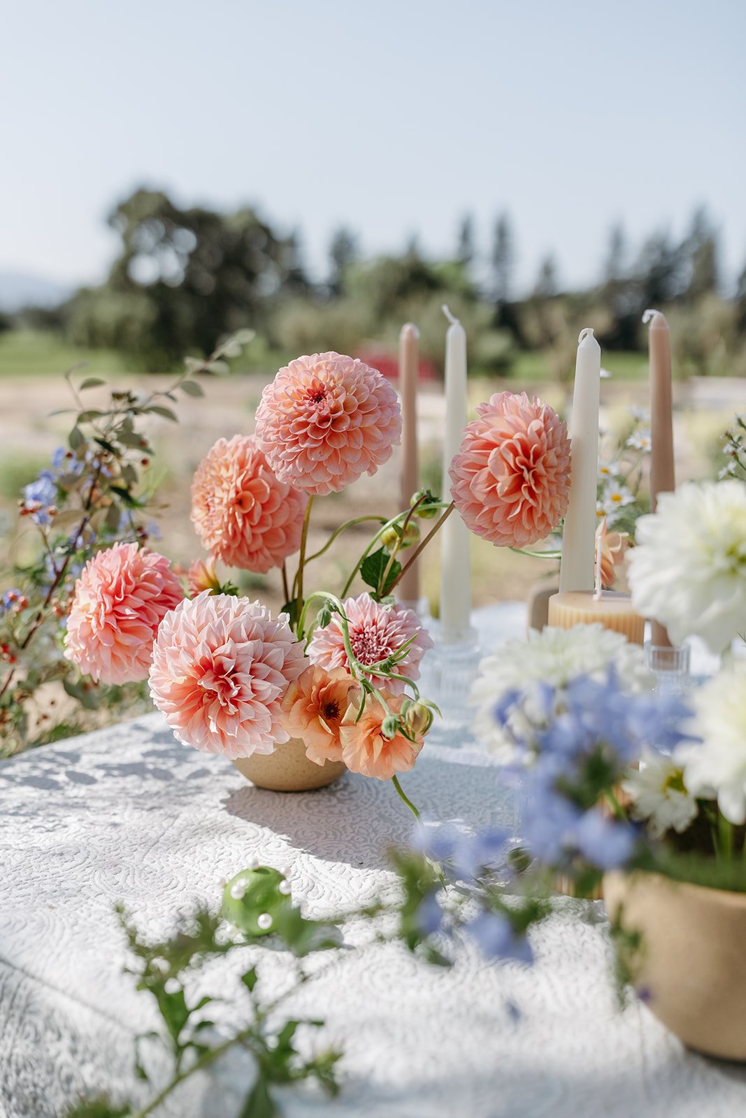 california_napa_valley_intimate_luxury_editorial_wedding_photoshoot_tamalynannphotography0J9A7402.jpg