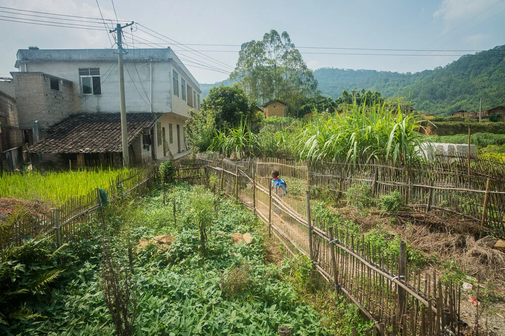 The environment near Wen Wu's home. Wen Wu, a 10-year-old student live in Cenxi, Guangxi. 學生文武家附近的環境。