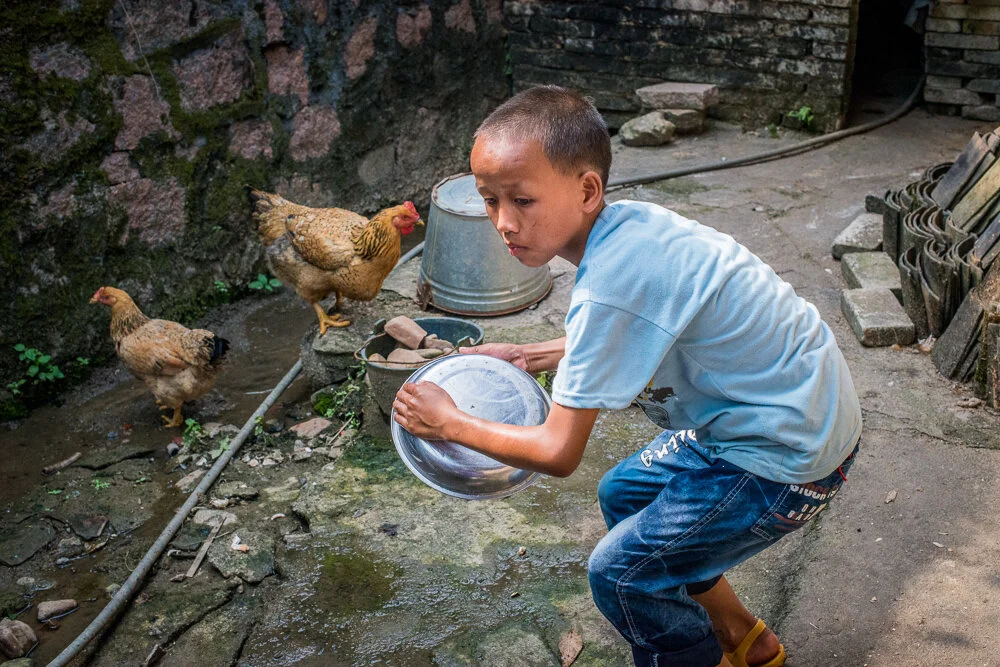 Wen Wu washes dishes after lunch. When Wen Wu and his father need eggs for food, they would look around and search eggs in the fields. 文武在飯後幫忙洗盤子，旁邊是兩隻他家裡的雞隻。每當需要雞蛋時，孩子和父親便會到屋外田地上找到。