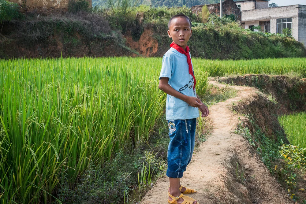 Outside Wen Wu's house is a large rice paddy. "But those crops are not mine" he said. 文武家門外種有一片水稻田，不過他說「這些不是我們的。」他指指種在山坡下一片種了木薯和絲瓜的零碎農地，露出笑容說：「那些才是。」