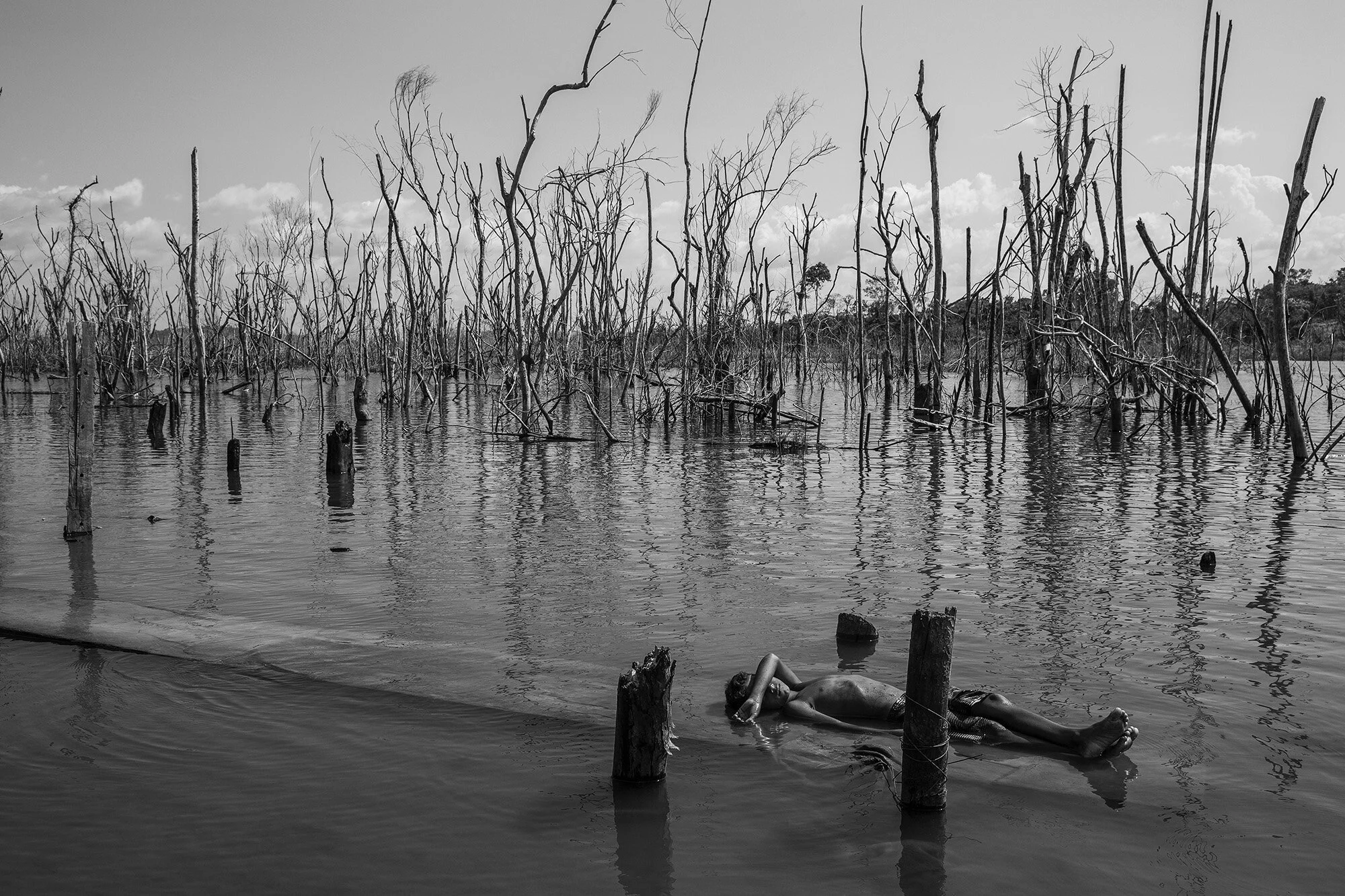 Amazonian_Dystopia18lr.jpg
