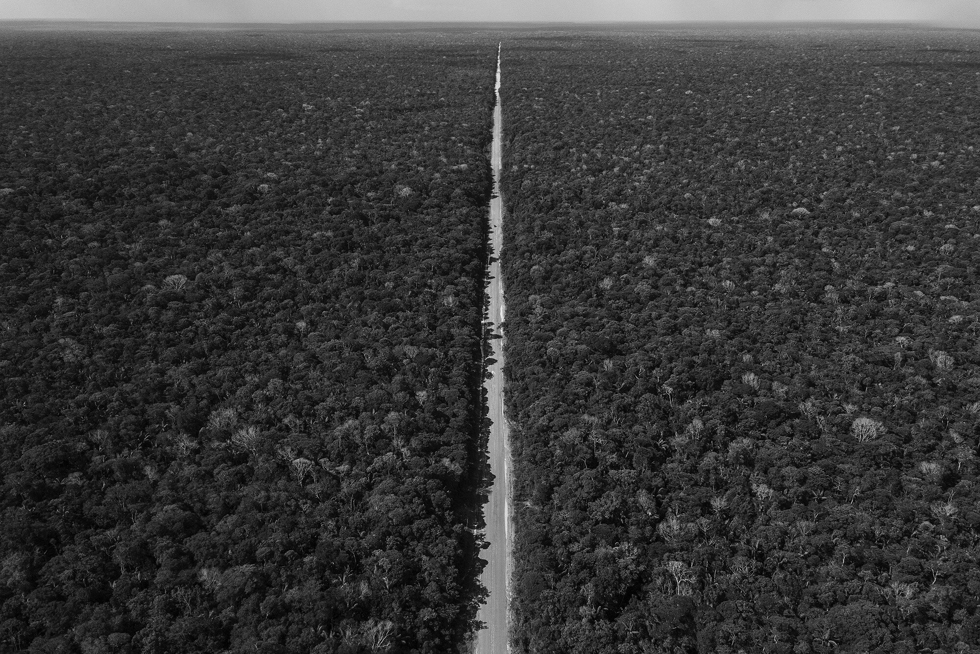 Amazonian_Dystopia24lr.jpg
