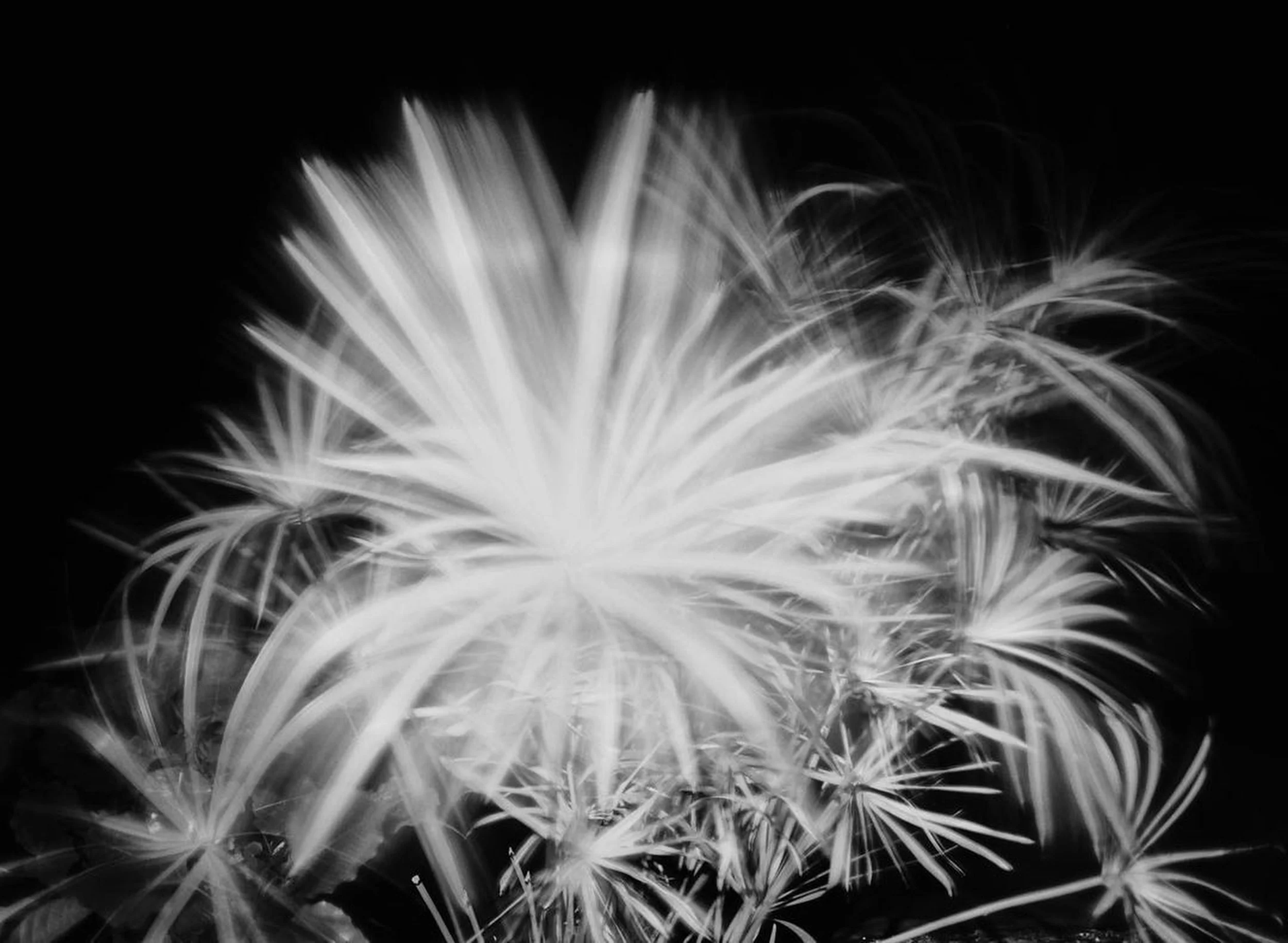 247733382_397990928644499_7204493956823955919_n (1)A.JPG