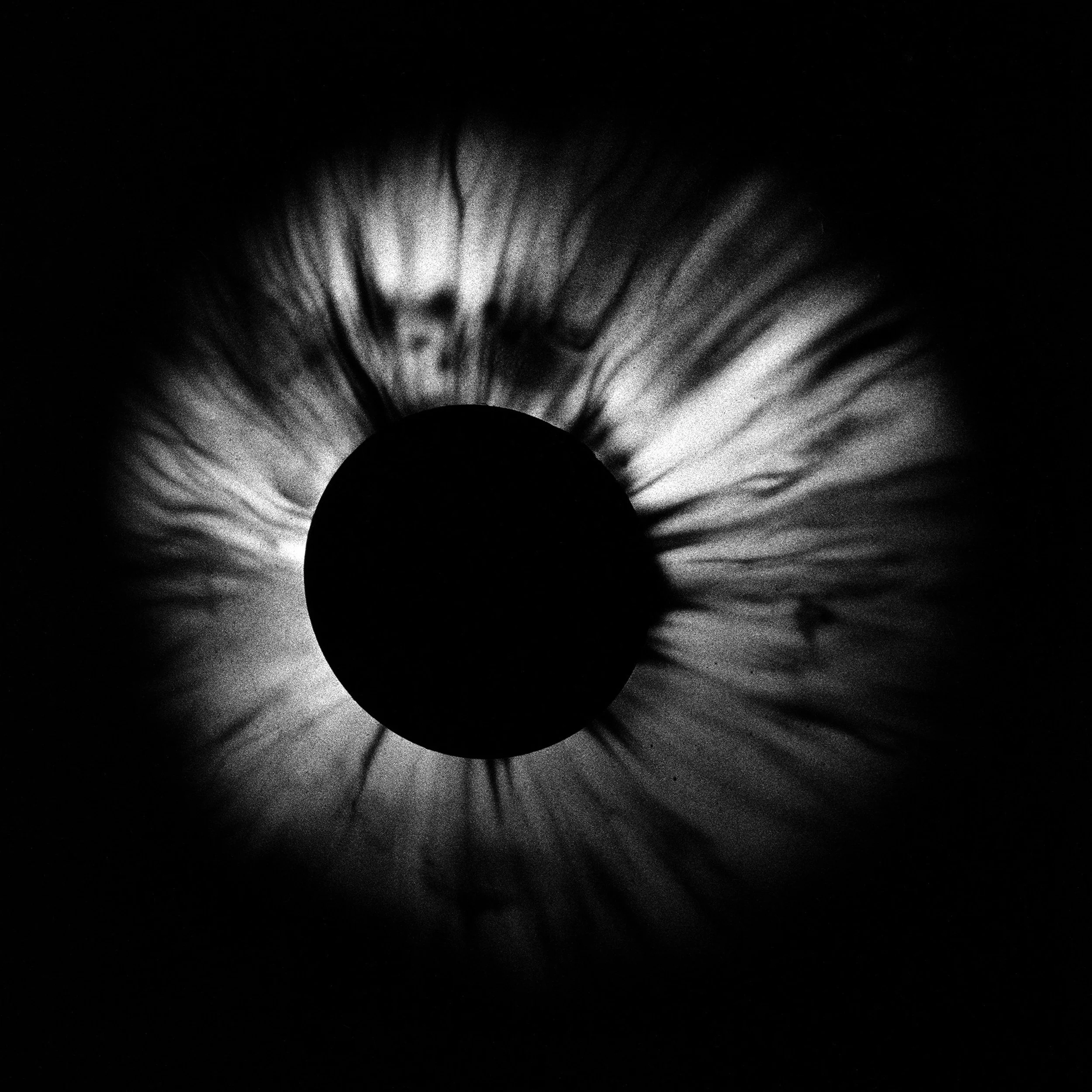 06_Axel Ling_A Case of Eclosion#^SEQN^_©Axel Lin