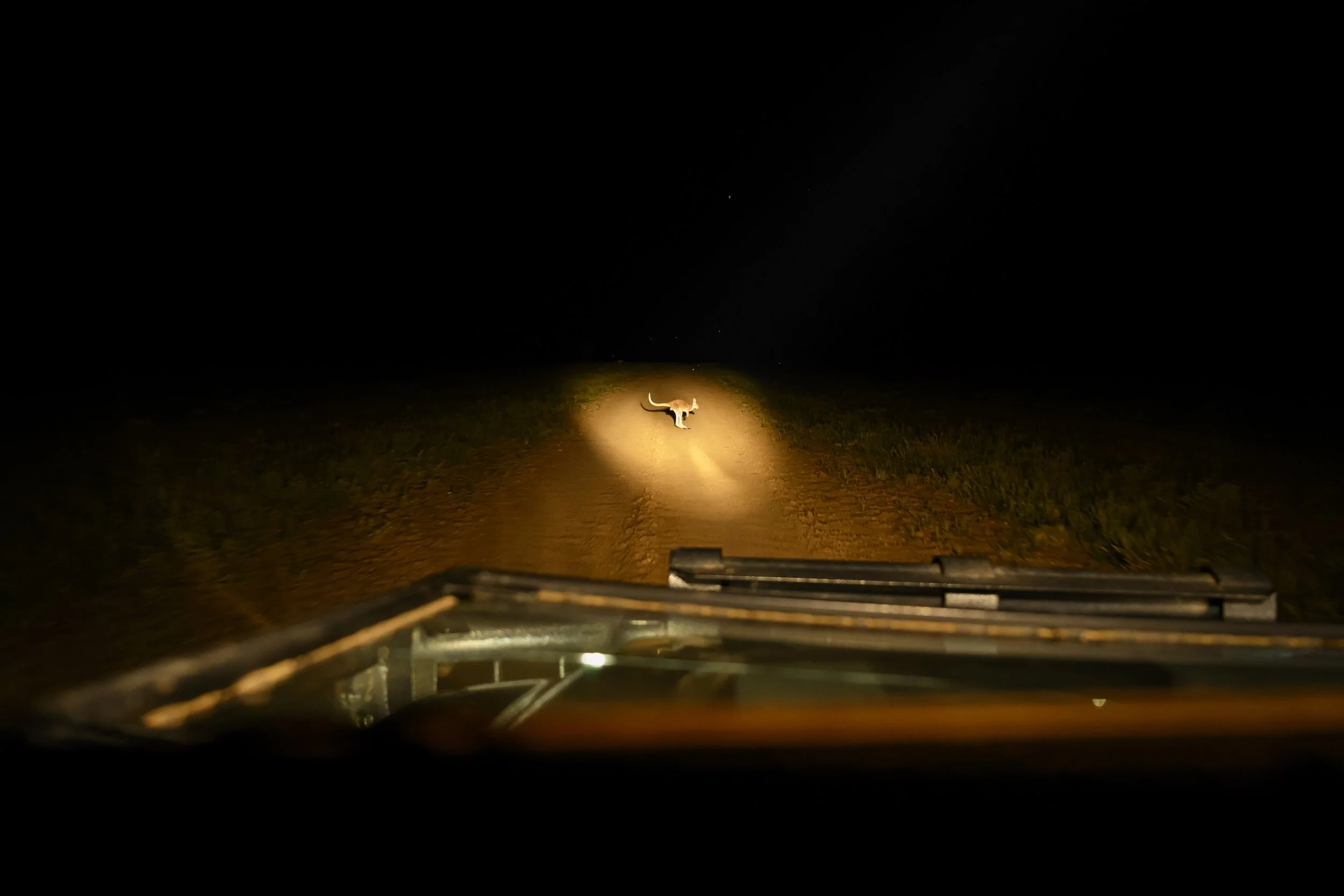 （攝影／George Chan）