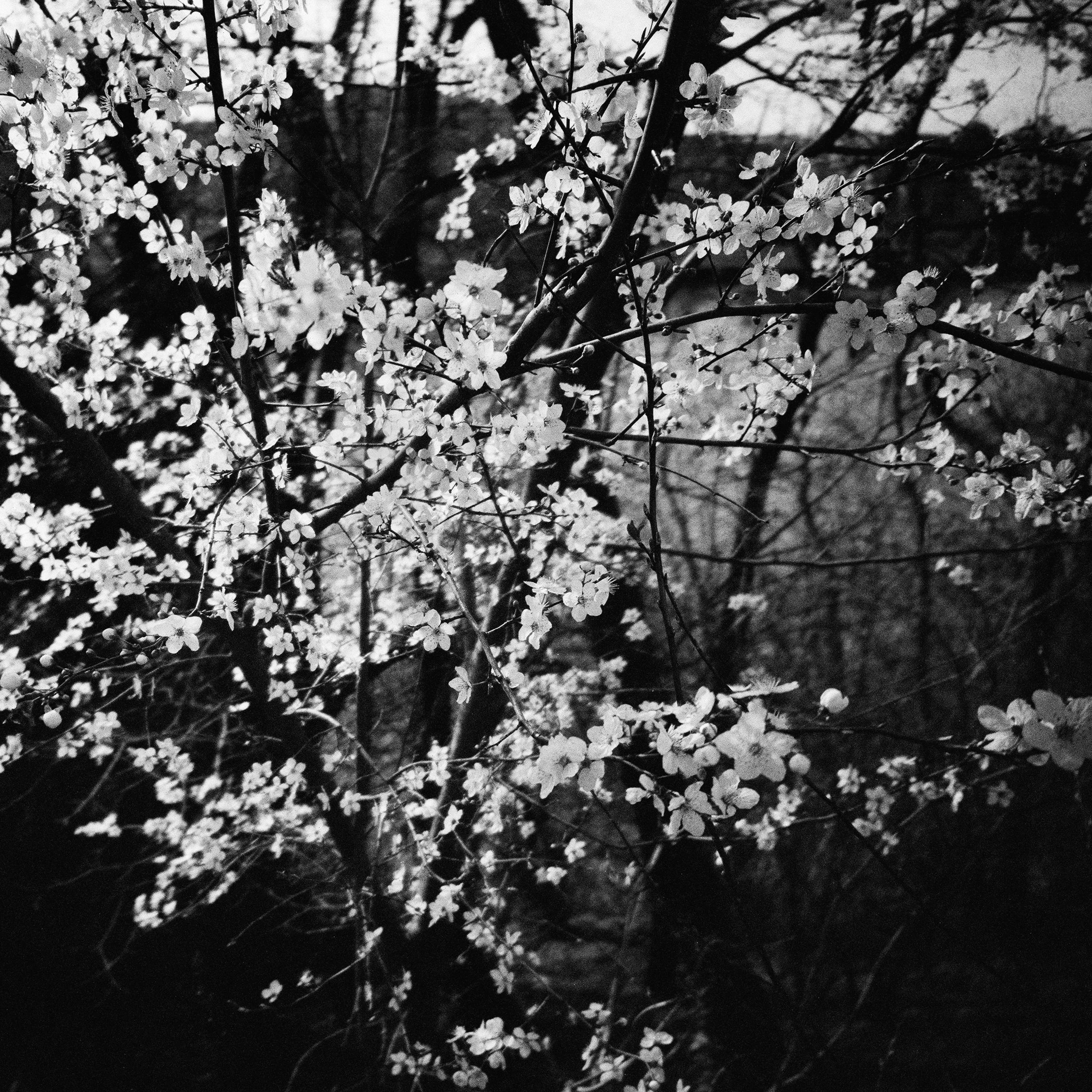 48_Axel Ling_A Case of Eclosion#^SEQN^_©Axel Lin
