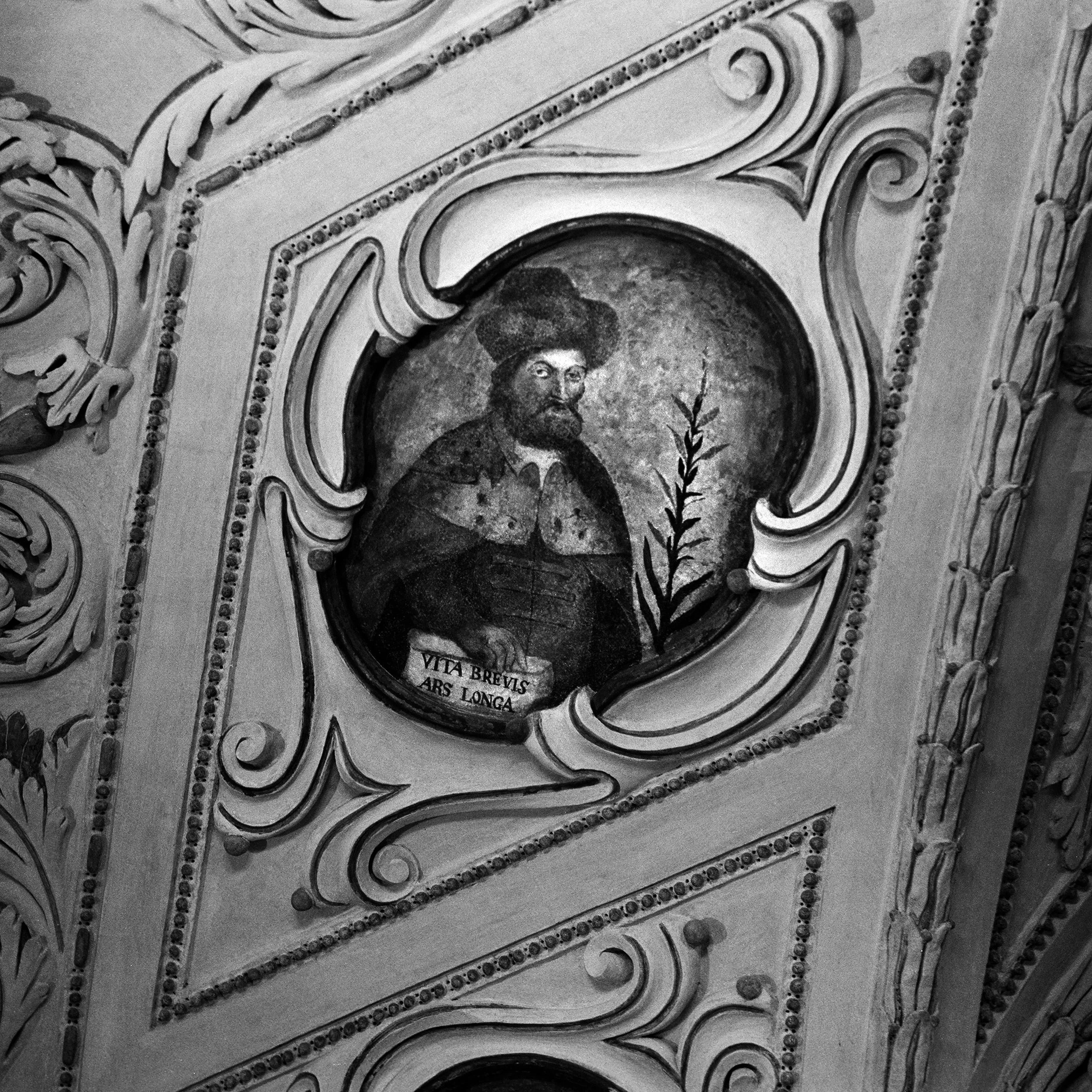 45_Axel Ling_A Case of Eclosion#^SEQN^_©Axel Lin