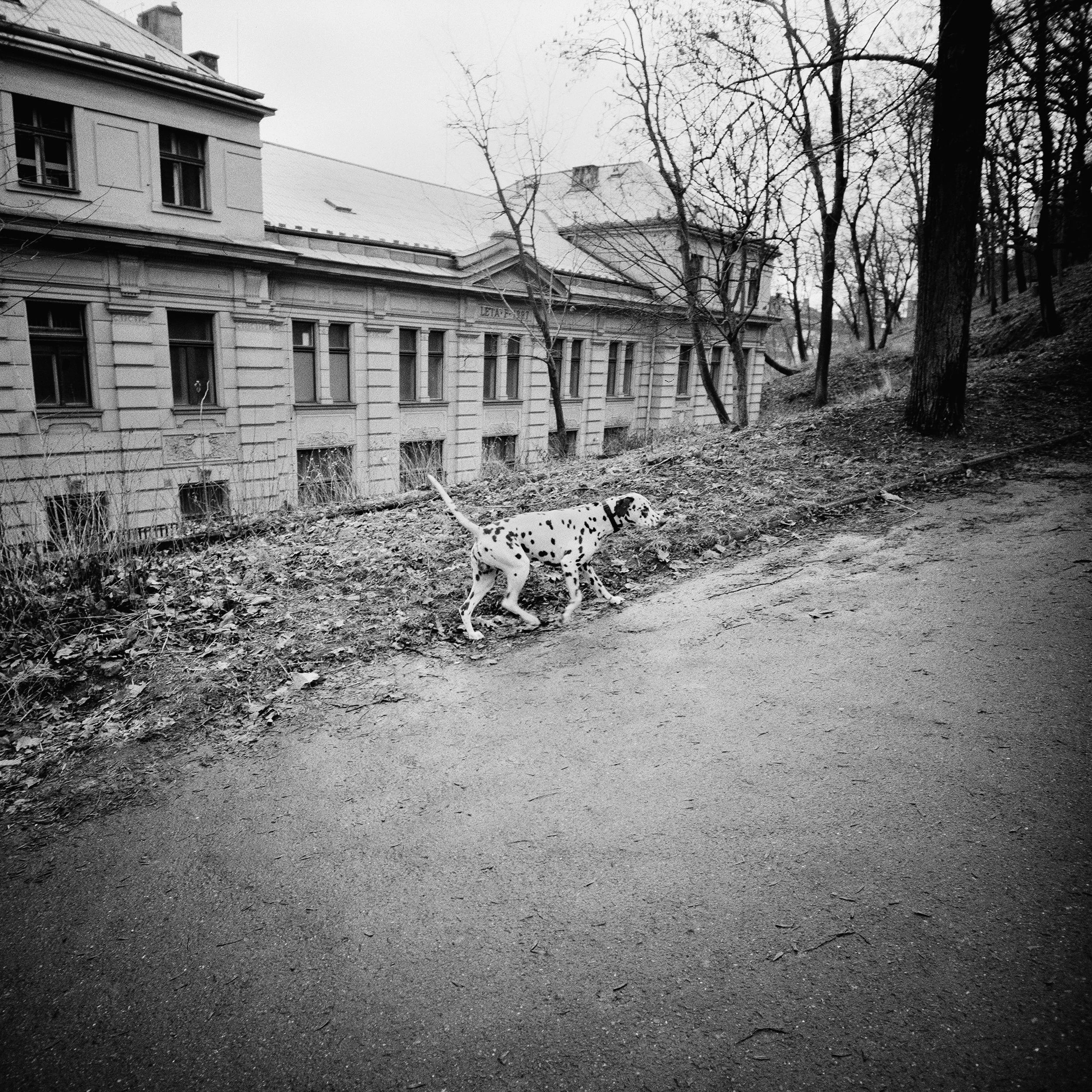43_Axel Ling_A Case of Eclosion#^SEQN^_©Axel Lin