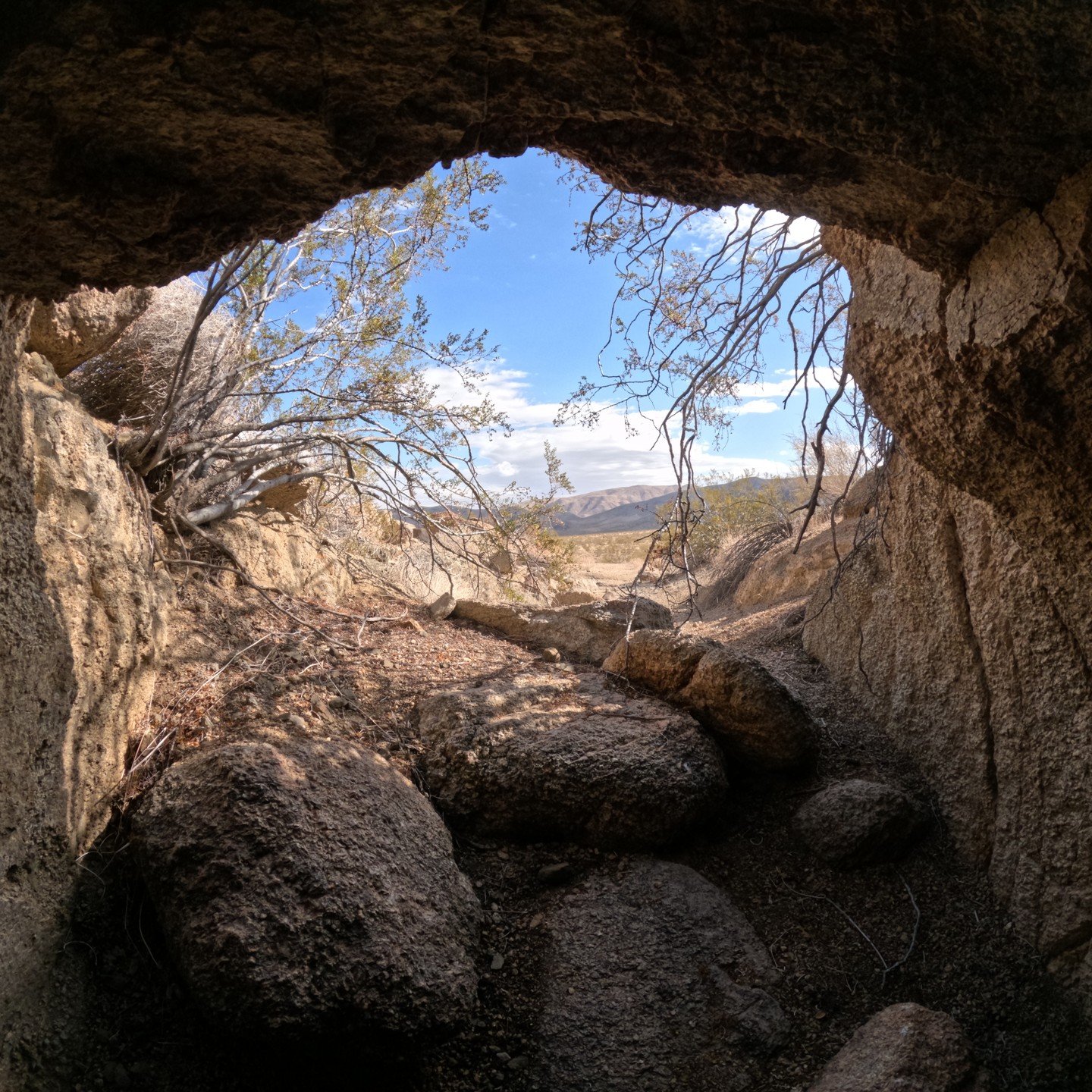 Spent a couple hours wandering about the Anaconda Gold Mine out at Joshua Tree National Park. Shrunk it down into a ten-minute YouTube video 😎
https://youtu.be/JqXHvQlNK2k
.
.
.
.
#joshuatreenationalpark #jtnp #exploratography #goldmine #anacondagol