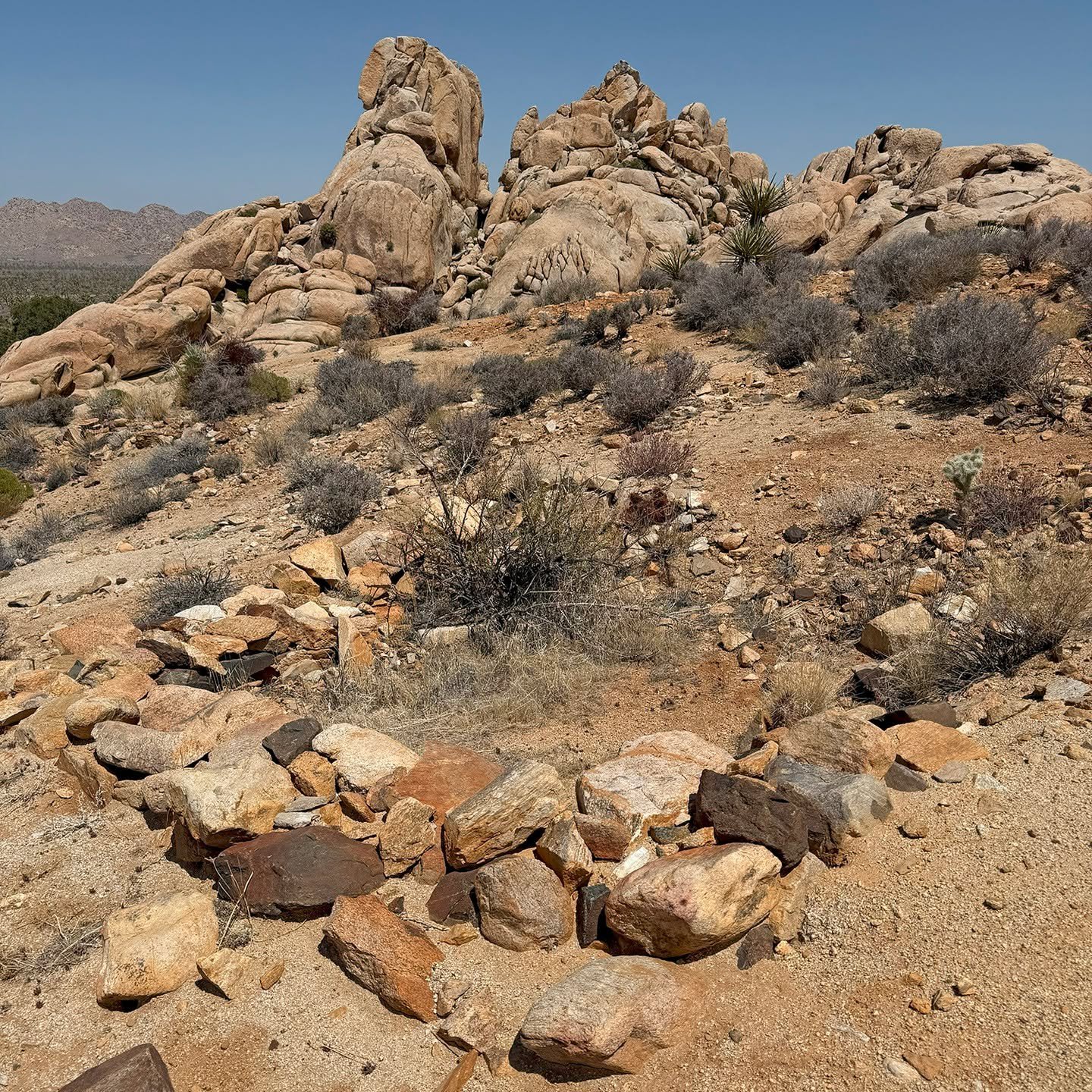 Some random stone foundation. What was it back when? 
.
.
.
.
.
#joshuatreenationalpark #jtnp #exploratography #iphone16pro #stoneruins #mojavedesert #ryanranch #losthorsemine