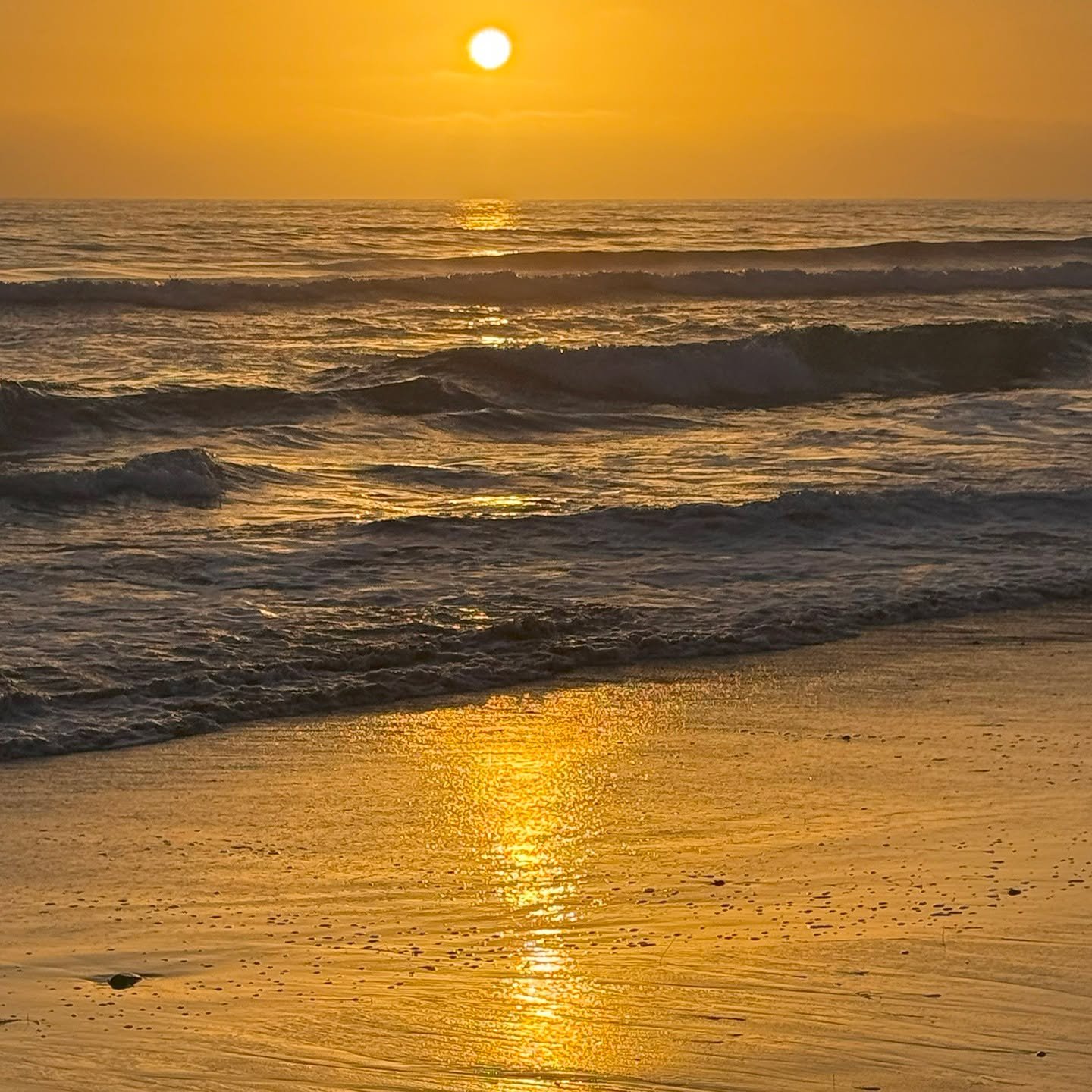 The Sun. Some waves. Reflection. Sand. Rocks. 
.
.
.
.
.
#exploratography #iphone16pro #Encinitas #atthebeach #sunset