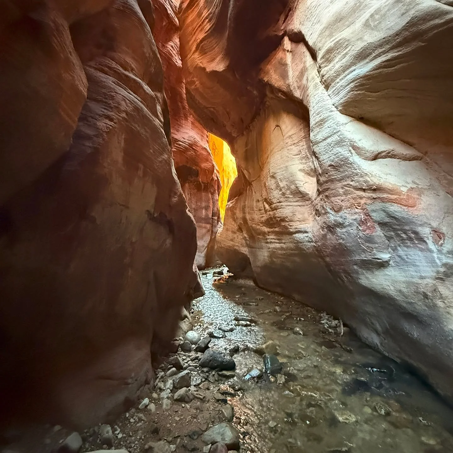 Kanarra Creek, Utah. Awesome hike!
.
.
.
.
.
.
#kanarracreek #kanarrafalls #slotcanyon #utah #kanarraville #exploratography