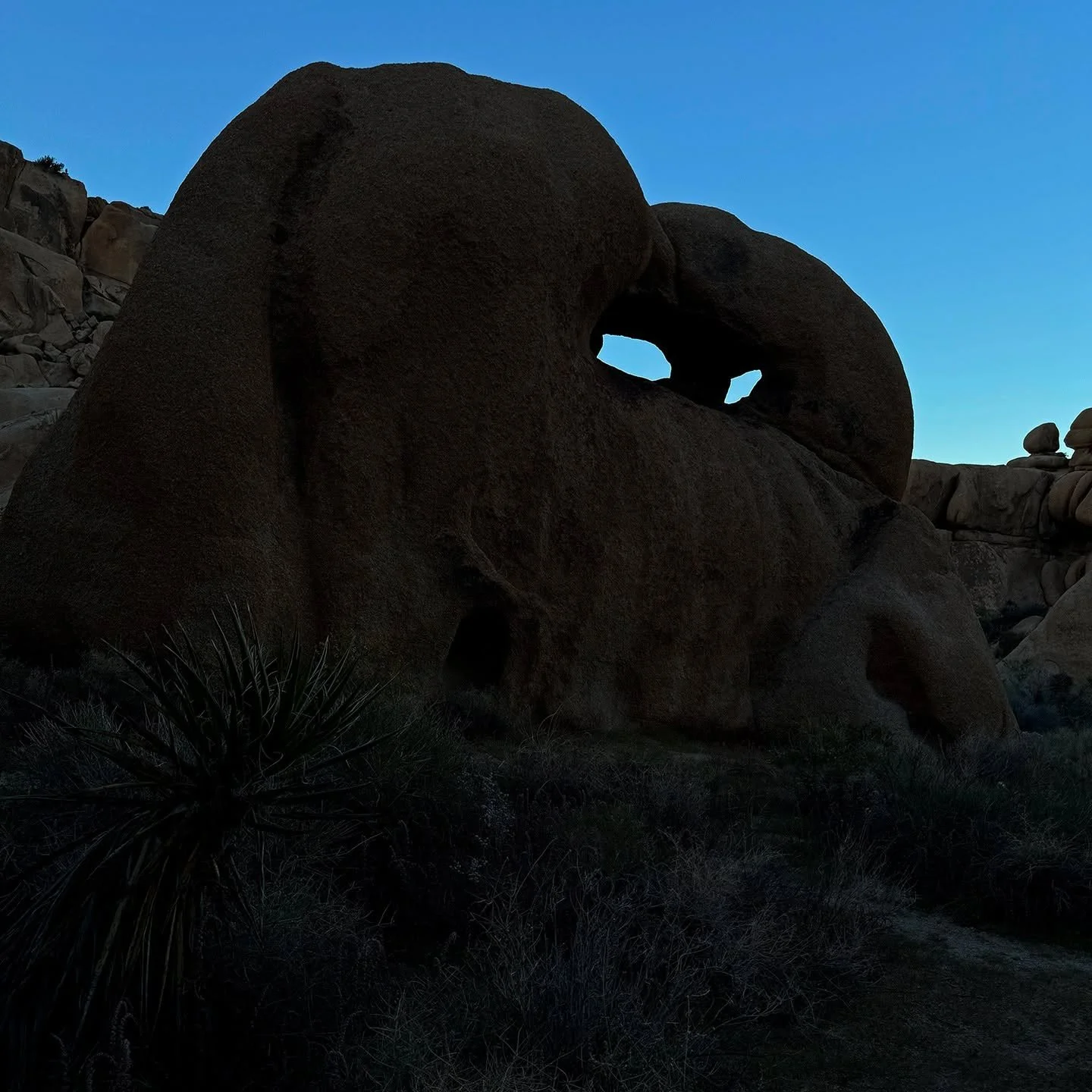 Spooky Hollow. It was still a bit early in the afternoon to get the best version of this location, so it's been a little adjusted to get the right look.
.
.
.
.
.
.
#spookyhollow #joshuatreenationalpark #jtnp #exploratography #boo
