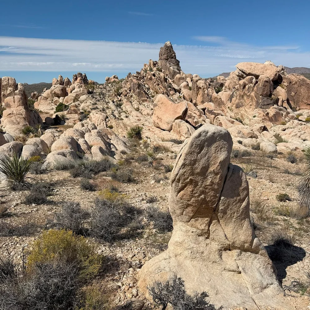 Two Points.
.
.
.
.
.
#surprisetank #joshuatreenationalpark #jtnp #exploratography #rocks #climbing #scrambling #hiking #mojave
