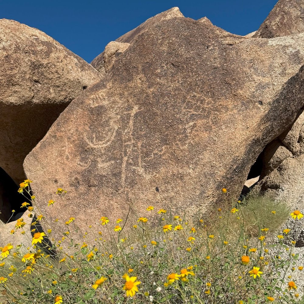 Tons of rocks with tons of petroglyphs.
Quick video on YouTube. https://youtu.be/adQVn108fpE
.
.
.
.
.
.
#nevadadesert #mojavedesert #exploratography #petroglyphs #rockart #nativeamerican #dayhike #nevada #wander
