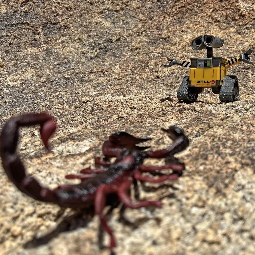 Hate it when this happens.