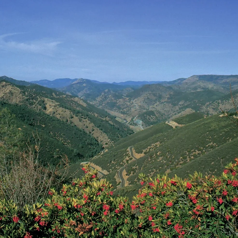 Hells Hollow
.
.
.
.
#motherlode #goldcountry #mariposa #exploratography #goldmines #california