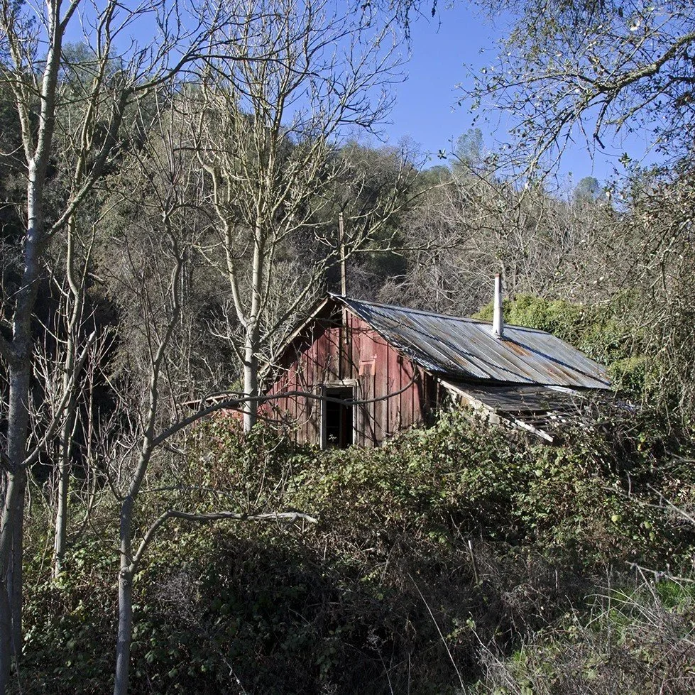 Abandoned Homestead on the Mokelumne River
.
.
.
.
.
#goldcountry #hwy49 #mokelumneriver #bigbar #goldrush #californiagoldrush #motherlode #urbex #abandoned #exploratography #roadtrippin #overgrown