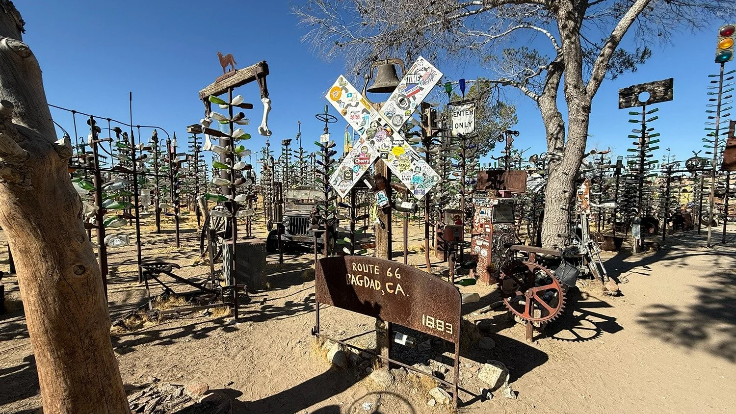 Elmer's Bottle Tree Ranch. Such a cool place!
.
.
.
.
#elmersbottletreeranch #orogrande #california #route66 #exploratography #iphone16pro #roadtrip