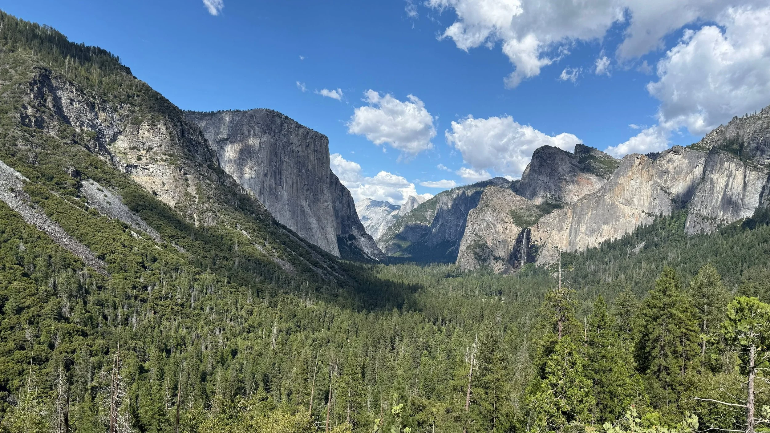 I know this has been photographed about a quadzillion banana times, but here's my shot from Tunnel View pullout. Seeing it in person for the first time, it does take one's breath away.
.
.
.
.
#yosemite #tunnelview #halfdome #elcapitan #yosemitevalle