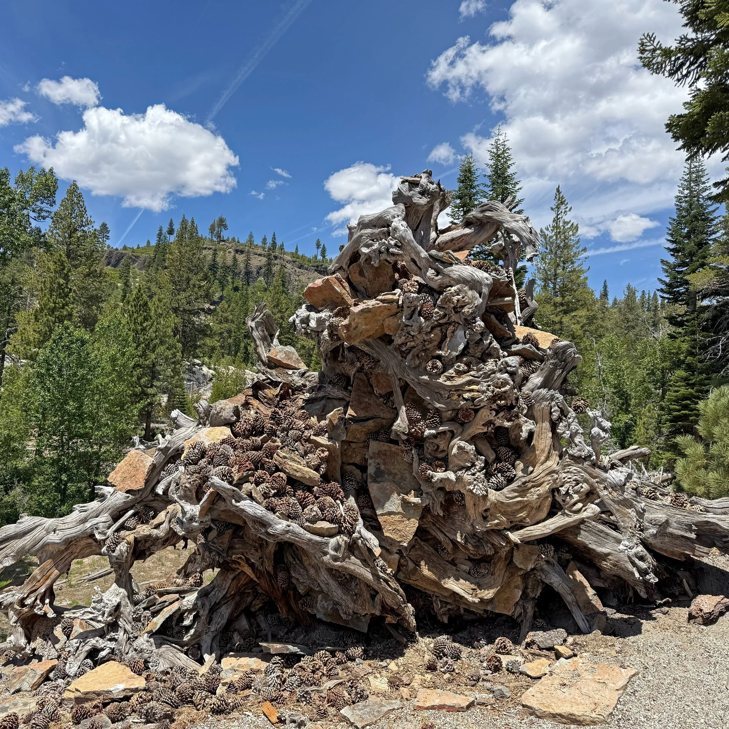 Is there a guiness book world record for number of pinecones stacked into the roots of a fallen tree?
.
.
.
.
.
#rainbowfalls #mammothcalifornia #hiking #exploratography #iphone16pro #roadtrip #mammothlakes #hwy395