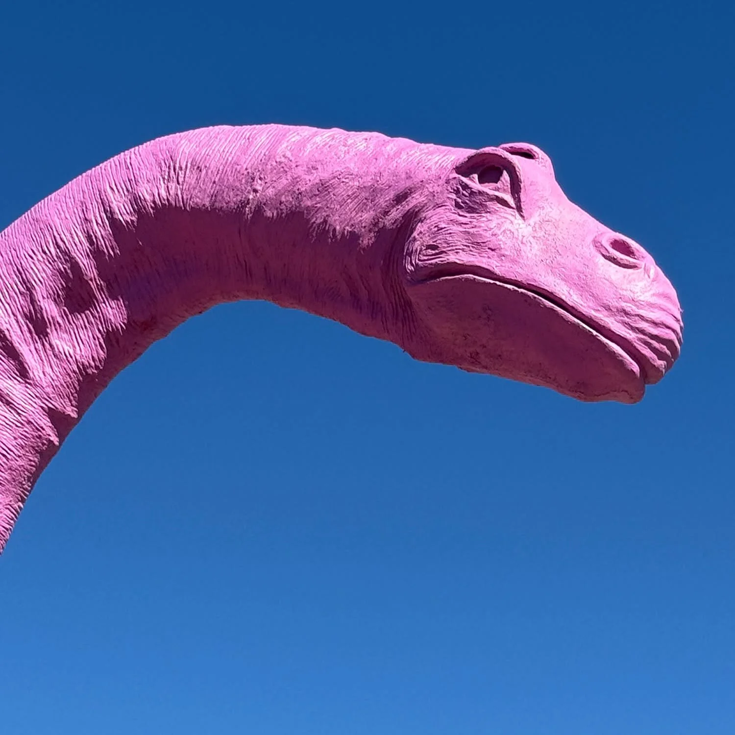 Always fun to check in on the kids in Cabazon.
.
.
.
.
#cabazon #mrrex #dinny #dinosaurs #california #roadsideattraction #ipulledoverforthis