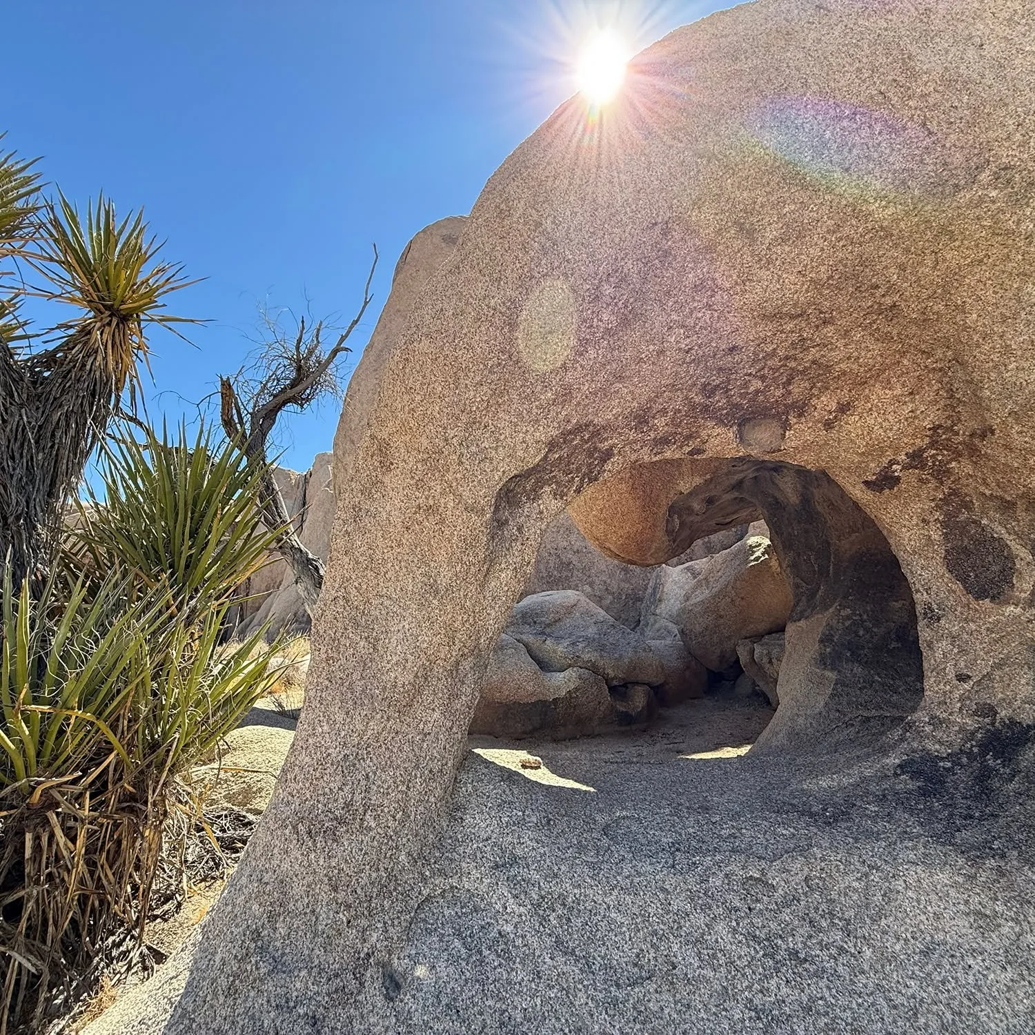 Hole in a Rock. #735 

.
.
.
#joshuatreenationalpark #jtnp #arches #roadtrip #camping #discovery