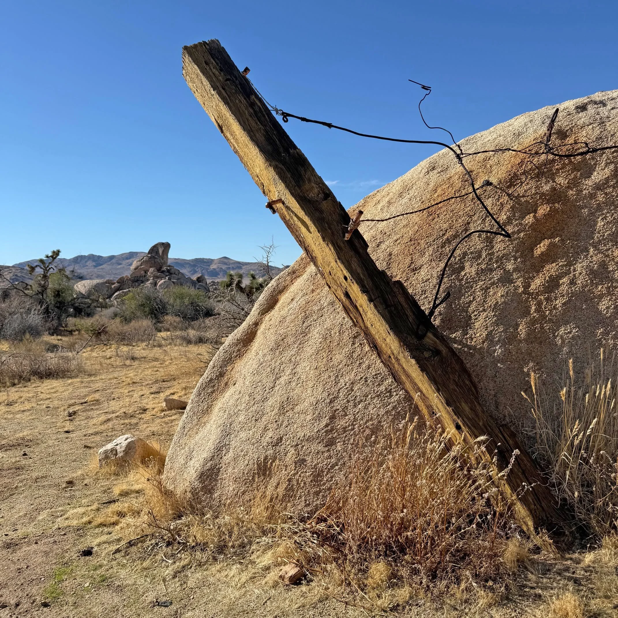 Today's post.
.
.
.
.
.
#joshuatreenationalpark #jtnp #post #ryanranchruins #dayhike