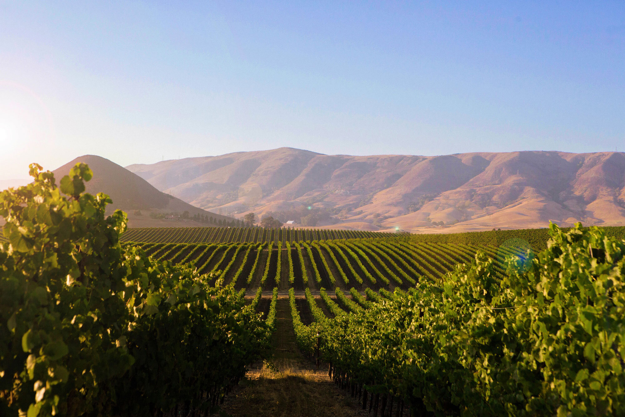 The Edna Valley — Cadre Wines