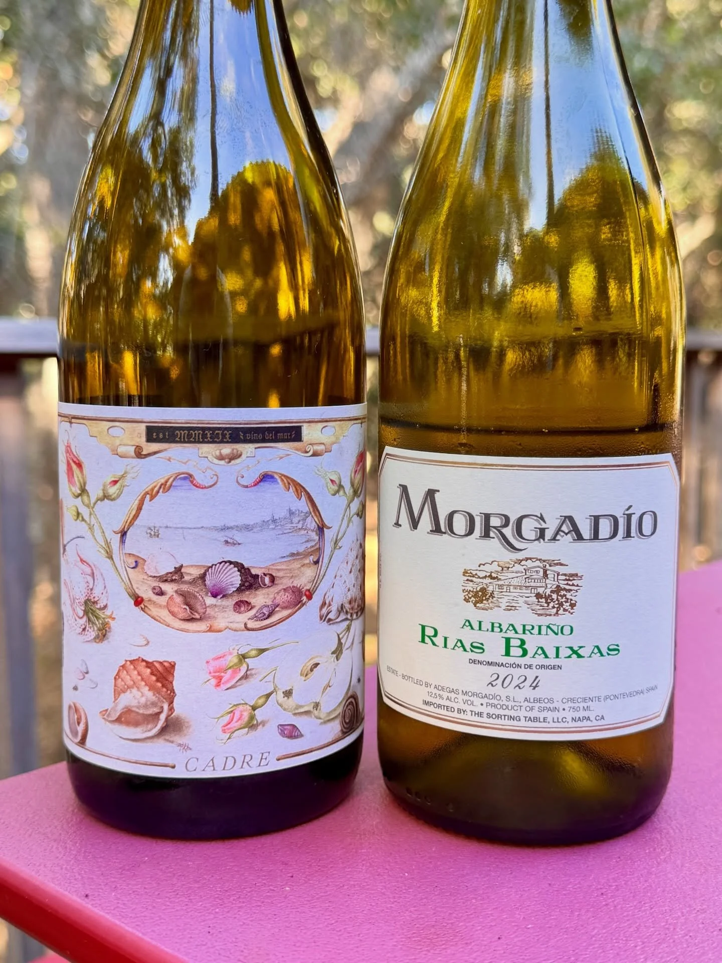 Distant cousins! 🌊

On the right is the iconic Morgadio Albari&ntilde;o from R&iacute;as Baixas, Spain. On the left is our Sea Queen. Our bud wood for our SLO Coast plantings came from a vineyard originally planted from this famed estate.
&nbsp; 
Al