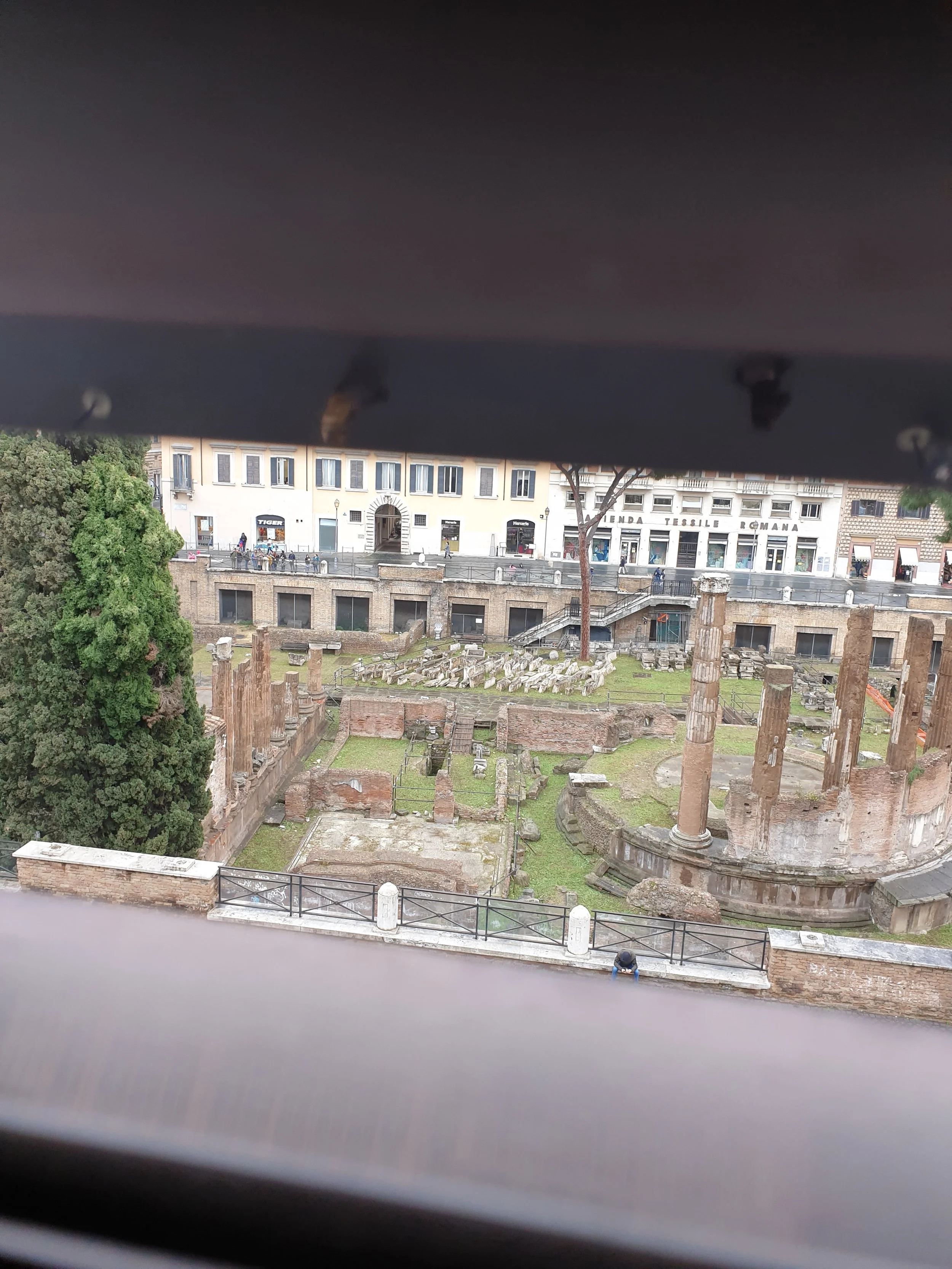 20190404_142449.jpg