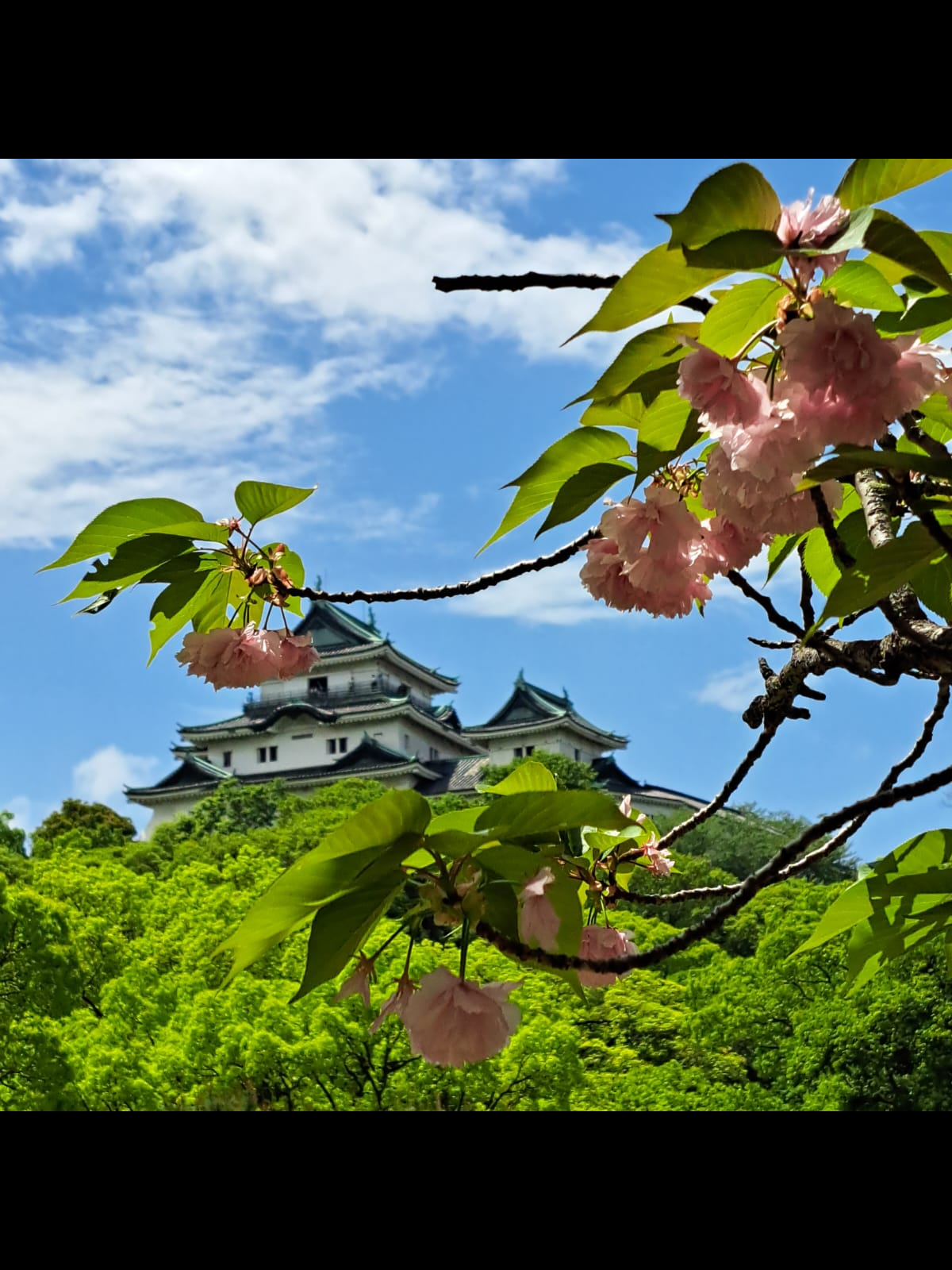 IMG-20260420-WA0011.png