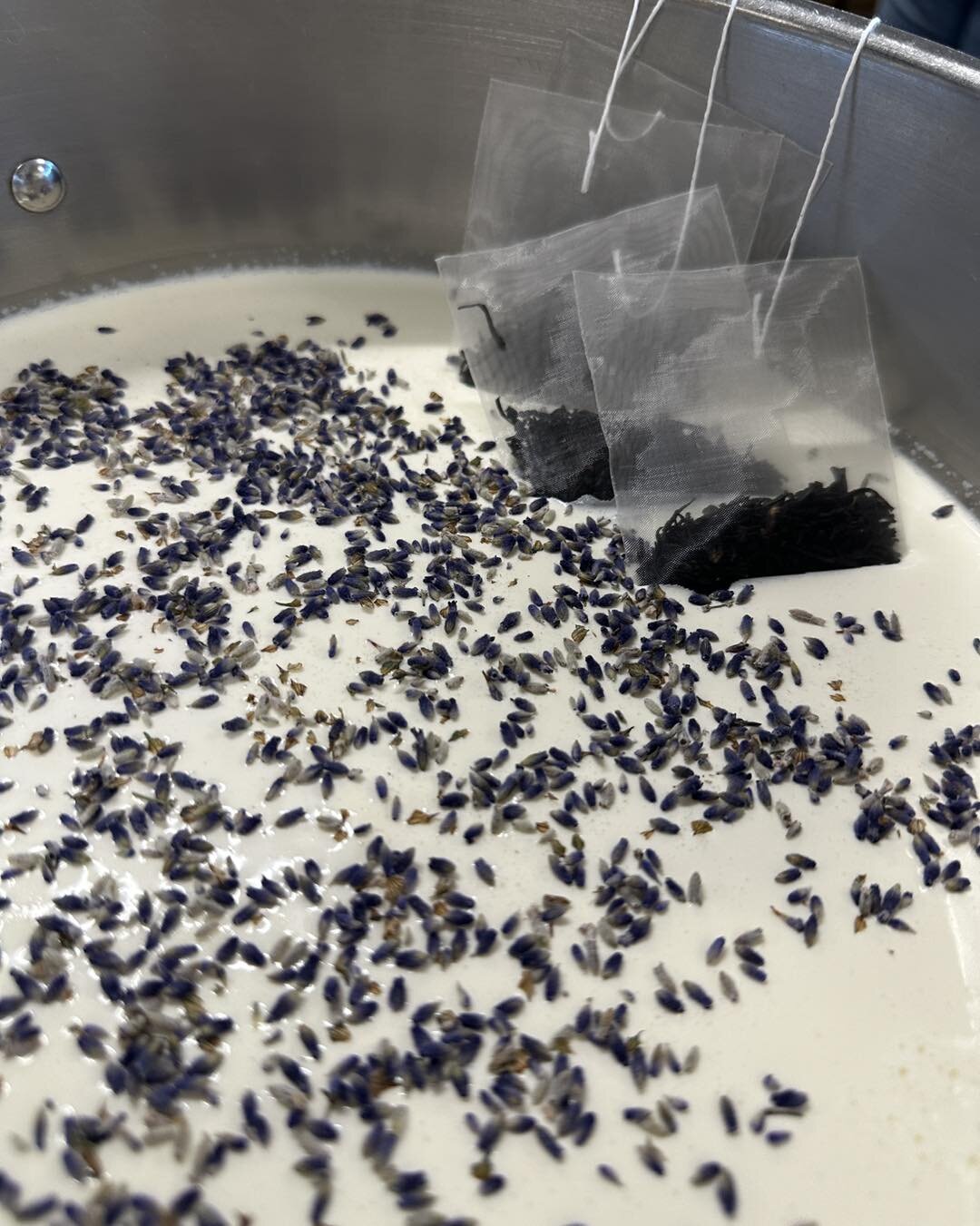 London Fog ice cream in the works! Using Willamette Valley Lavender of course!
