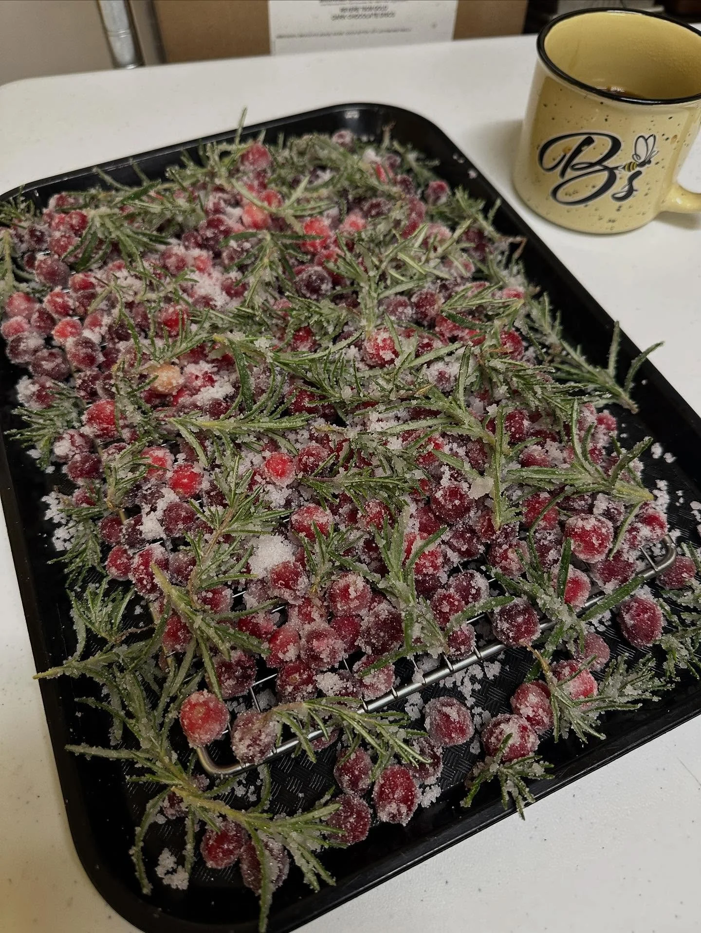 Prepping the Buche de Noel (Yule Log) garnish